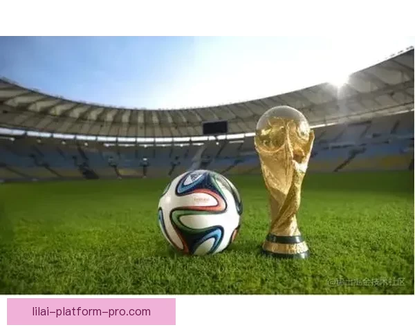 世界杯竞猜稳定平台全面解析安全玩法技巧与长期稳定盈利指南实战